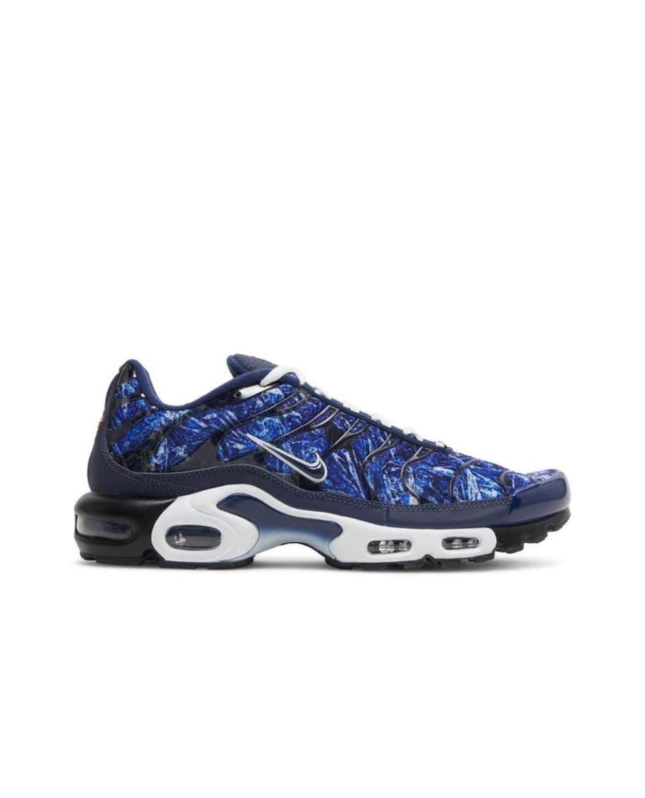 Nike Air Max Plus Blue