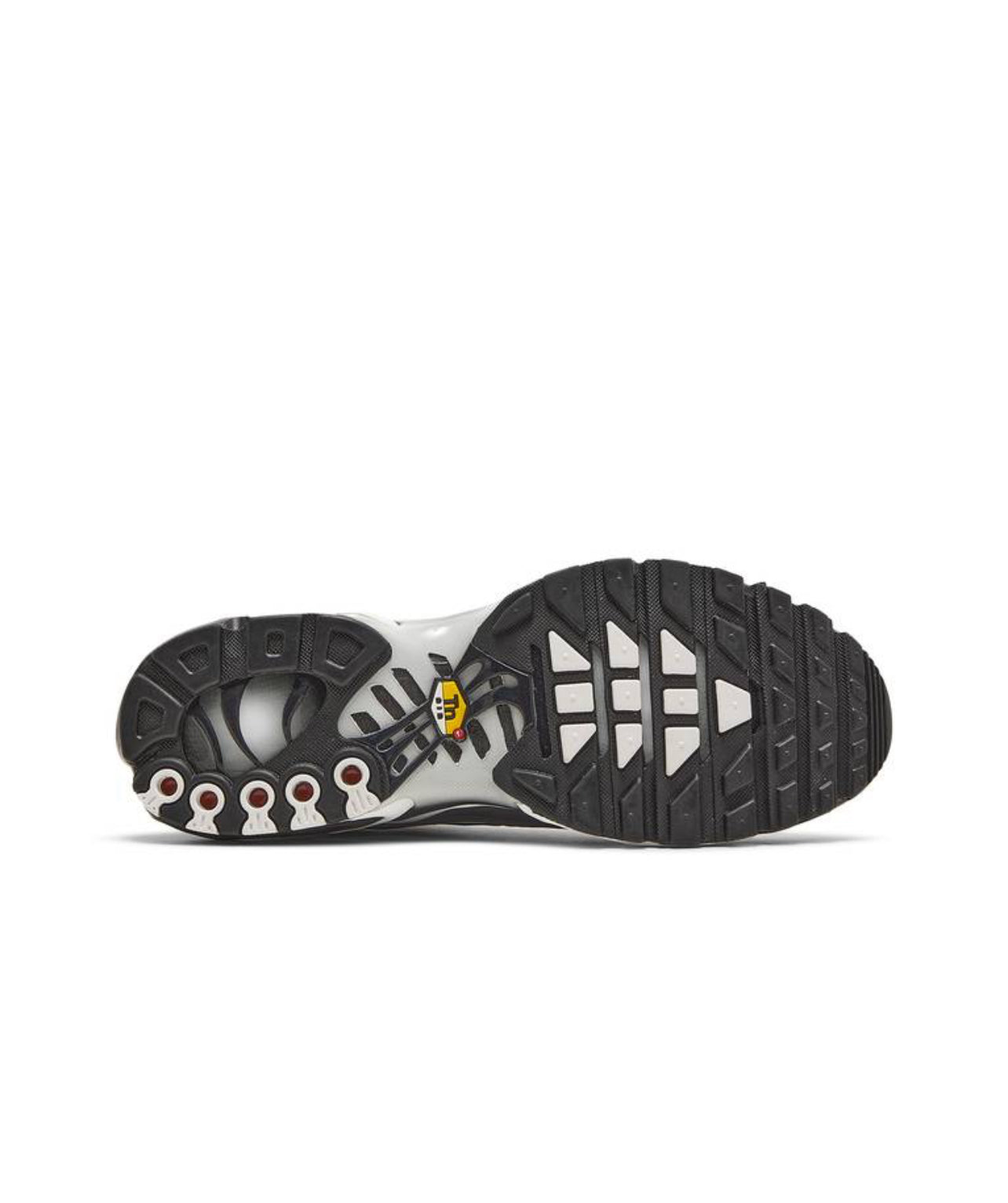 Nike Air Max Plus Grey & Black