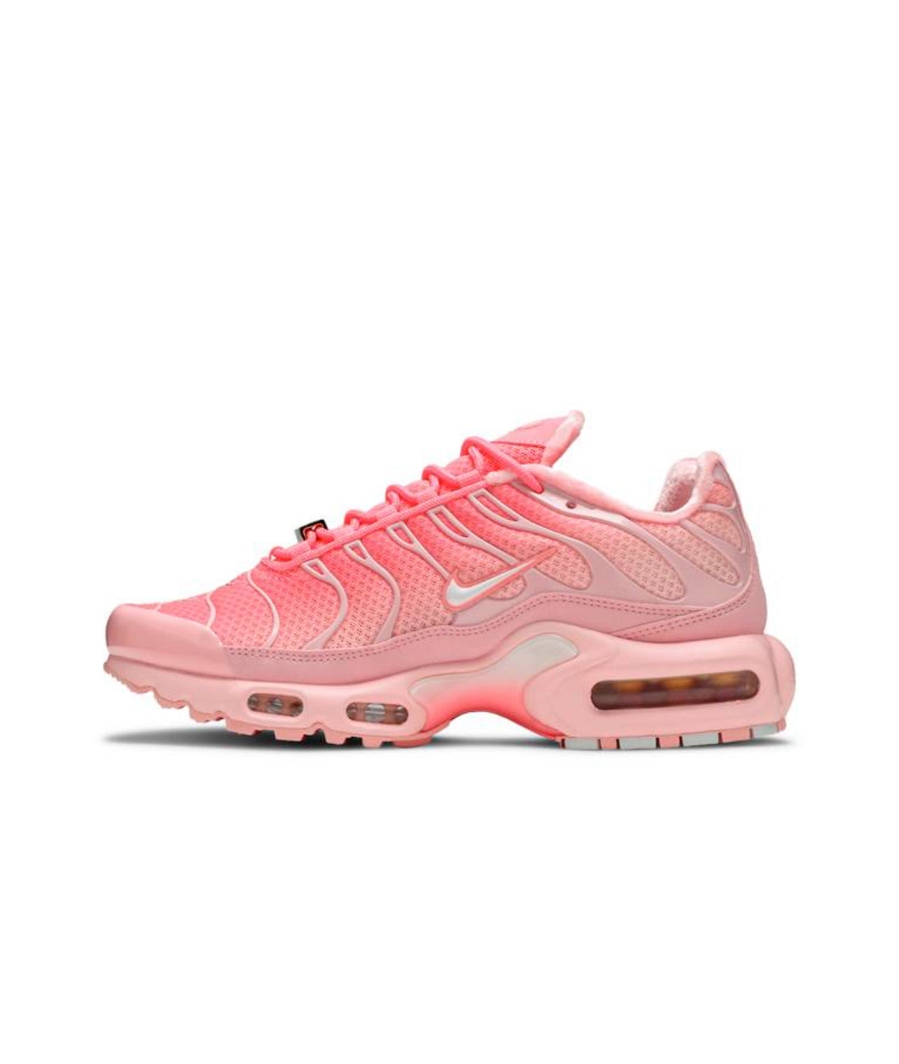 Nike Air Max Plus Atlanta